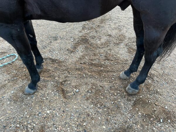 Spike - Image 8